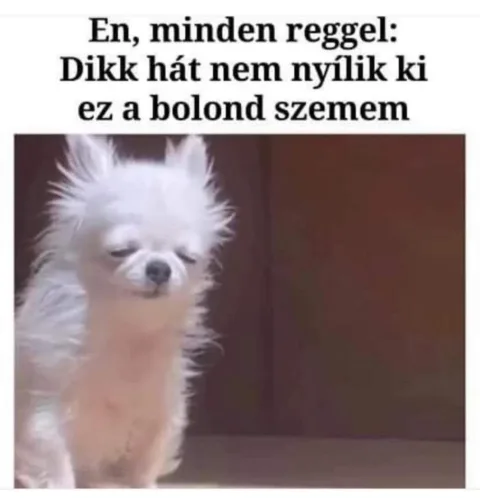 #VK1748844035 #VK1748844035