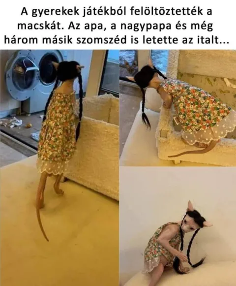 #VK1748851215