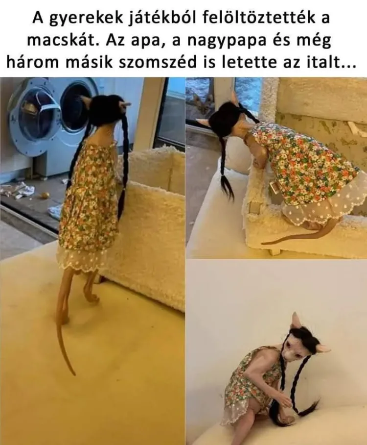 #VK1748851215 #VK1748851215