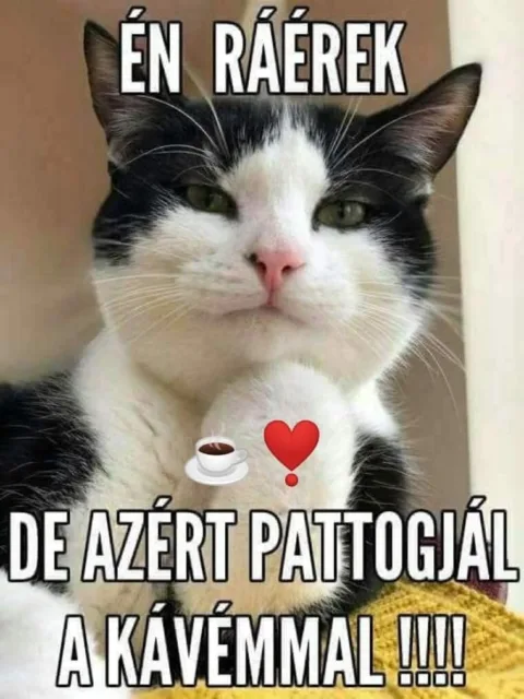 #VK1749016825