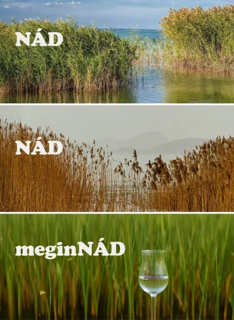#VK1749036607