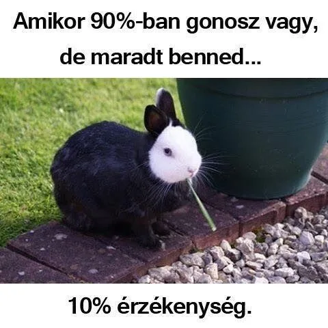 #VK1749042260