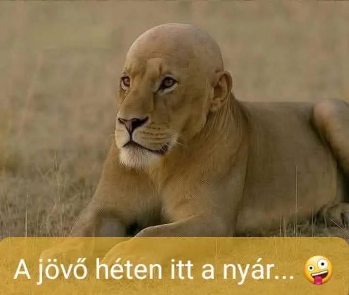 #VK1749151804 #VK1749151804