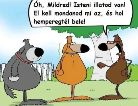 #VK1749202673