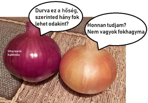 #VK1749219842
