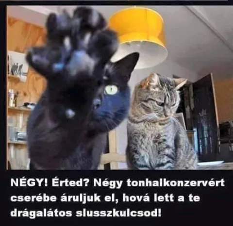 #VK1749315619