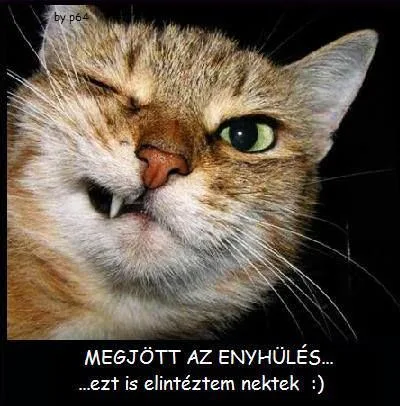 #VK1749448829