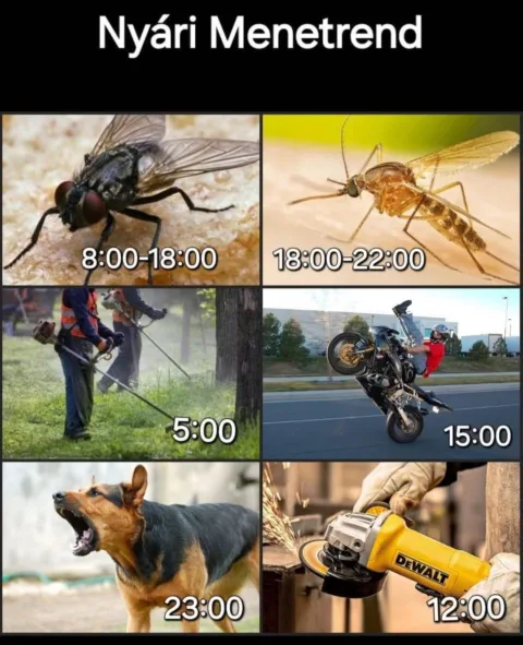 #VK1749471289