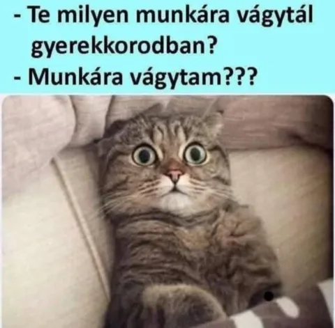 #VK1749542422