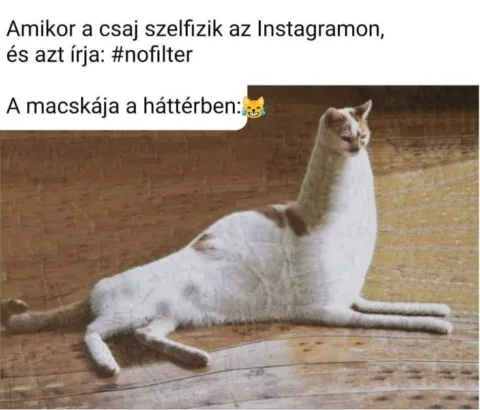 #VK1749550229