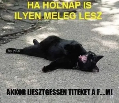 #VK1749753003