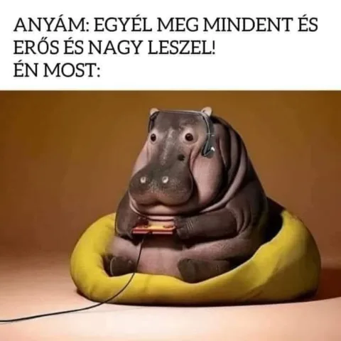 #VK1749830429