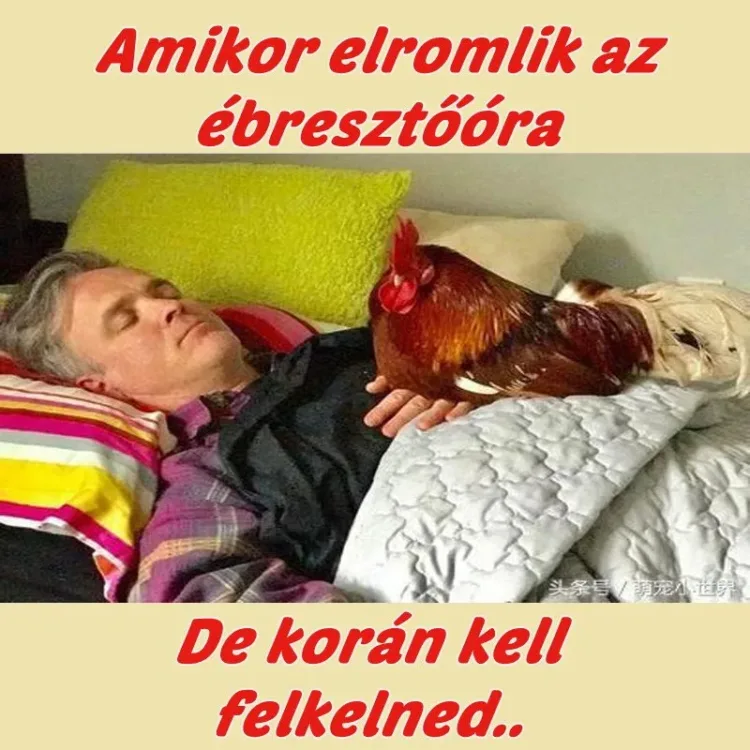#VK1749880817 #VK1749880817