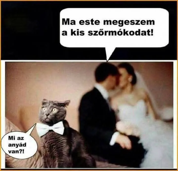#VK1750016021 #VK1750016021