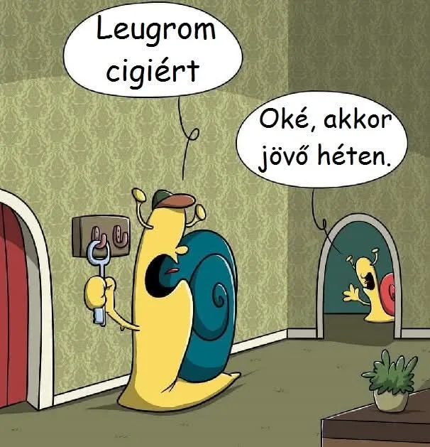 #VK1750096817 #VK1750096817
