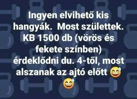 #VK1750140012