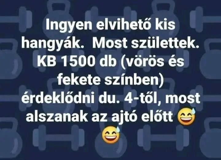 #VK1750140012 #VK1750140012