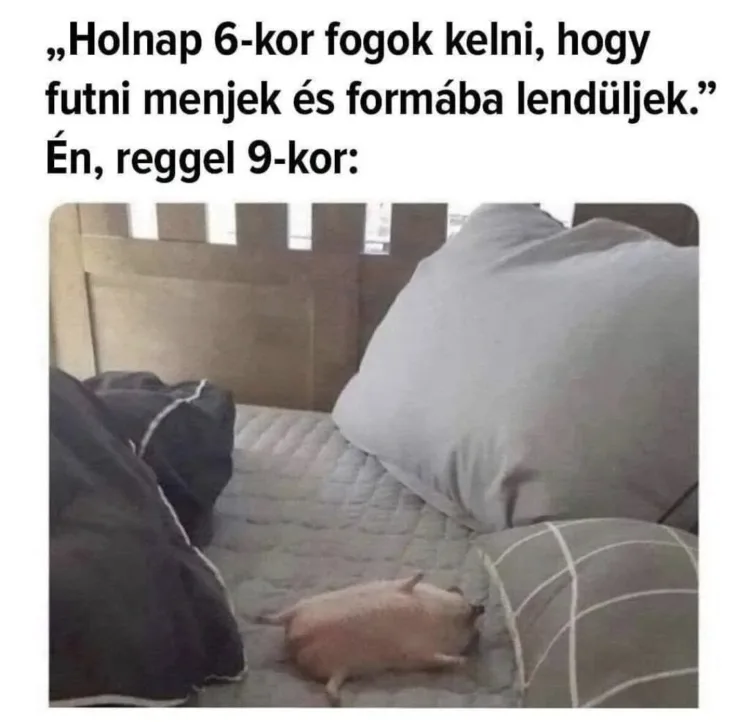 #VK1750238356 #VK1750238356