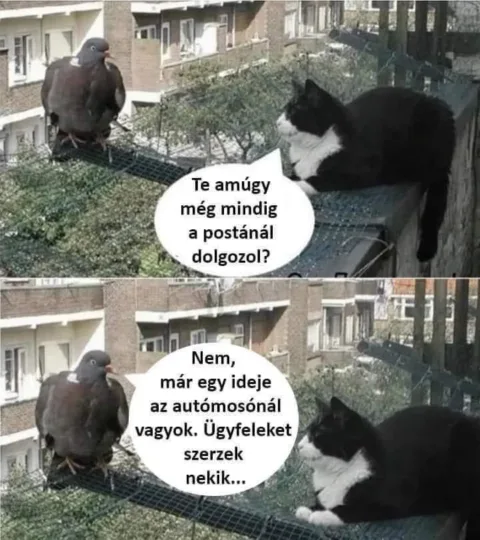 #VK1750273214