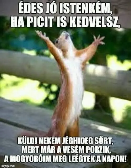 #VK1750275003 #VK1750275003
