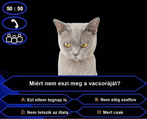 #VK1750446071