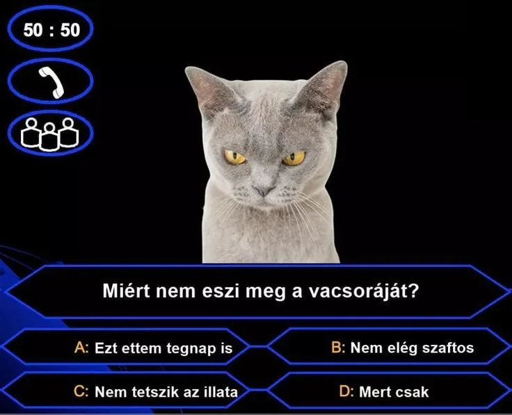 #VK1750446071 #VK1750446071