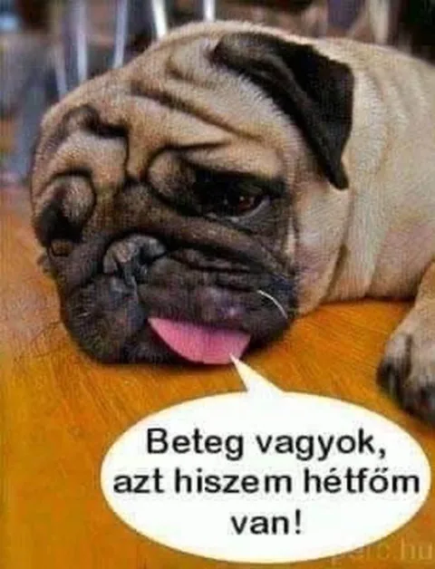 #VK1750661617