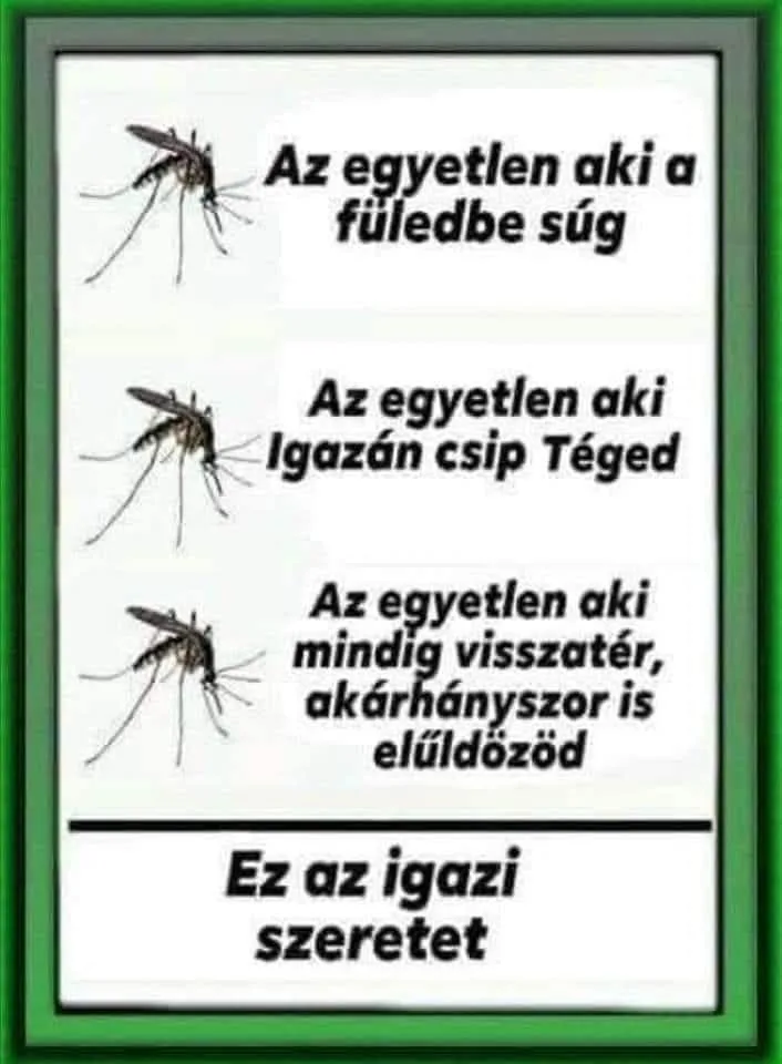 Az egyetlen aki mindig visszatér, akárhányszor is elűződ Az egyetlen aki mindig visszatér, akárhányszor is elűződ