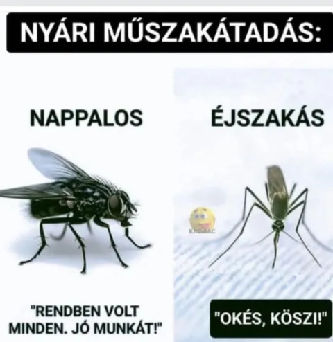 #VK1750793407