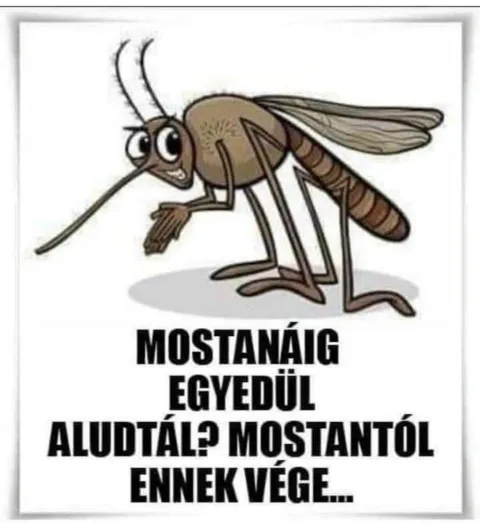 #VK1750879803