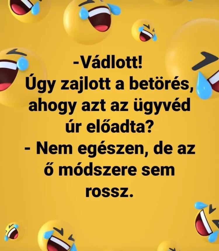Vádlott! Úgy zajlott a betörés, ahogy azt az ügyvéd úr előadta? Vádlott! Úgy zajlott a betörés, ahogy azt az ügyvéd úr előadta?