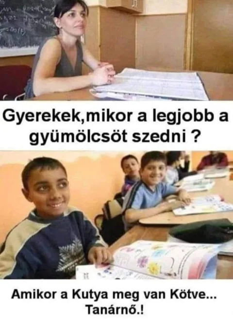 #VK1751220014