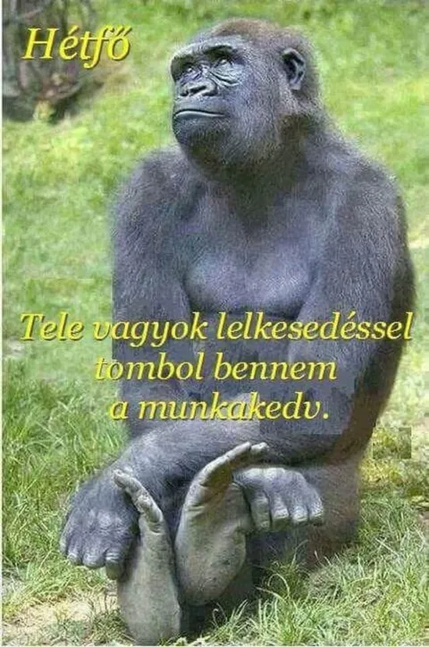 #VK1751266814
