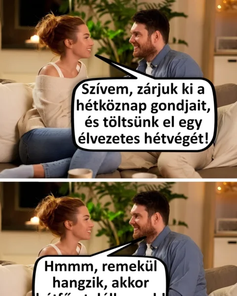 Vicc: 19 házaspár, akik között adódnak félreértések Vicc: 19 házaspár, akik között adódnak félreértések