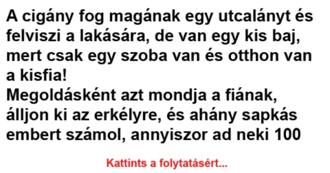 Vicc: A cigány fog magának egy utcalányt és felviszi a Vicc: A cigány fog magának egy utcalányt és felviszi a lakására –