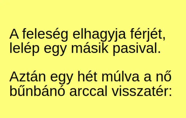 Vicc: A feleség elhagyja férjét, lelép egy másik Vicc: A feleség elhagyja férjét, lelép egy másik