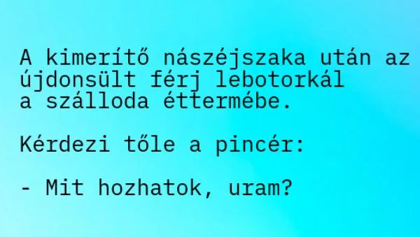 Vicc: A kimerítő nászéjszaka után az újdonsült férj lebotorkál a Vicc: A kimerítő nászéjszaka után az újdonsült férj lebotorkál a szálloda…
