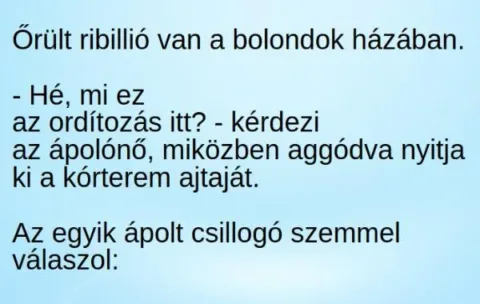 Vicc: Őrült ribillió van a bolondok házában.