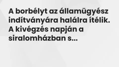 Vicc: A borbélyt az államügyész indítványára halálra ítélik.

A kivégzés napján a…