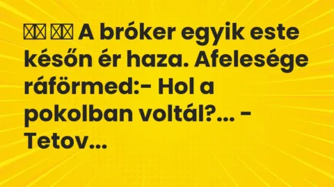 Vicc: 
		  
		  A bróker egyik este későn ér haza. Afelesége…