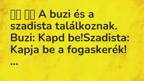 Vicc: 
		  
		  A buzi és a szadista találkoznak. Buzi: Kapd…