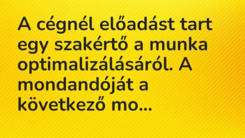 Vicc: A cégnél előadást tart egy szakértő a munka optimalizálásáról. A mondandóját a…
