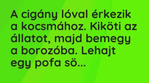 Vicc: A cigány lóval érkezik a kocsmához. Kiköti az állatot, majd bemegy a borozóba….