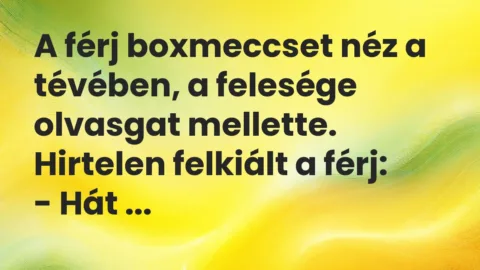 Vicc: A férj boxmeccset néz a tévében, a felesége olvasgat mellette.

Hirtelen…