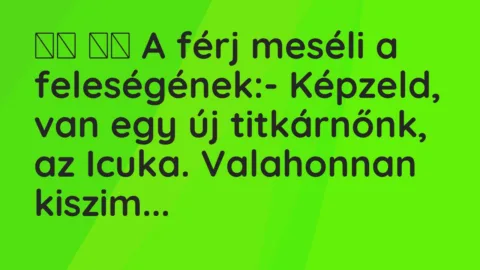 Vicc: 
		  
		  A férj meséli a feleségének:- Képzeld, van egy új…