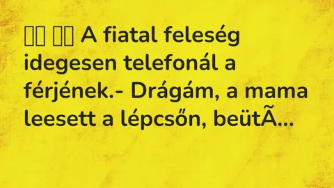 Vicc: 
		  
		  A fiatal feleség idegesen telefonál a férjének.-…