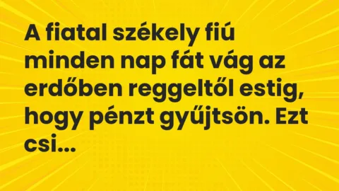Vicc: A fiatal székely fiú minden nap fát vág az erdőben reggeltől estig, hogy pénzt…