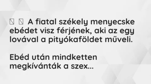 Vicc: 
	    	    A fiatal székely menyecske ebédet visz férjének, aki az egy lovával a…