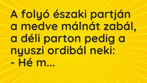 Vicc: A folyó északi partján a medve málnát zabál, a déli parton pedig a nyuszi…