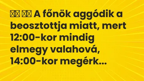 Vicc: 
		  
		  A főnök aggódik a beosztottja miatt, mert 12:00-kor mindig …